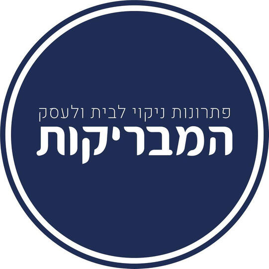 המבריקות המבריקות